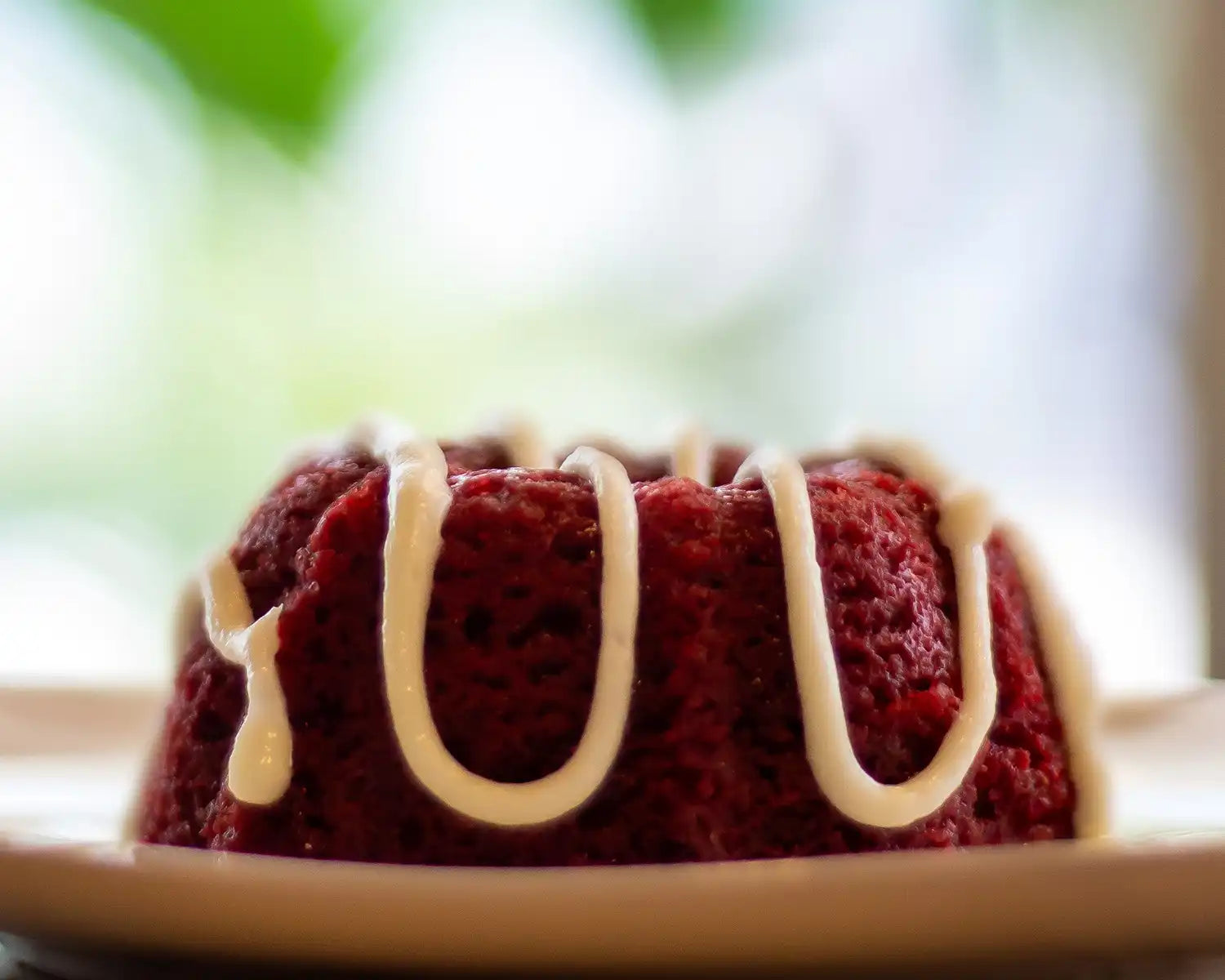 Red Velvet Mini Bundts Cakes Bundle