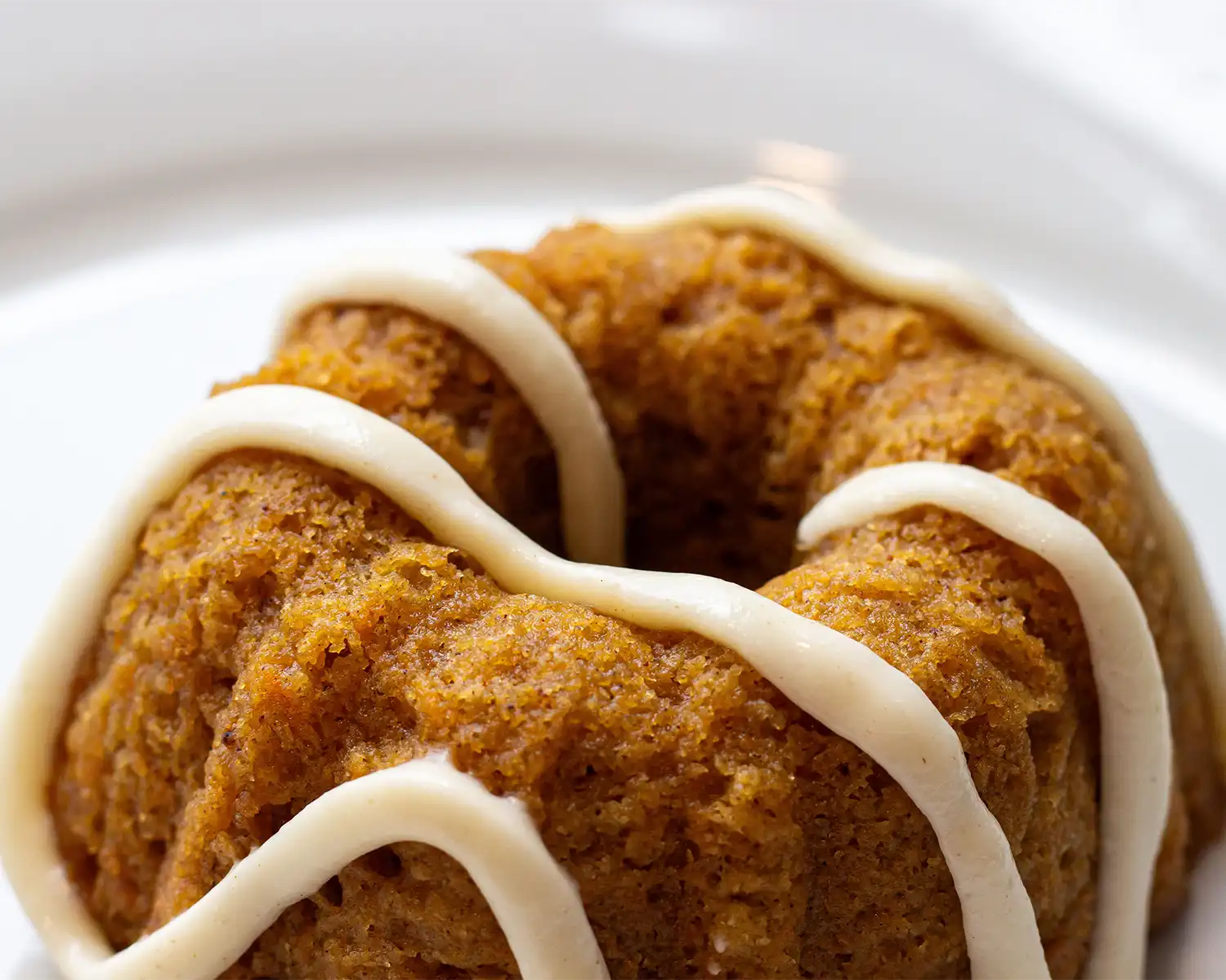 Sweet Potato Mini Bundts Cakes Bundle